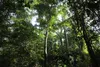 Forêts classées de Côte d'Ivoire