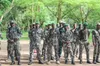 Des agents des Eaux et forêts de Côte d'Ivoire d'Ivoire