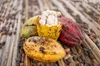 Cacao ivoirien
