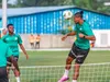 Gasset annonce le retour de Haller et Adingra pour le match contre la Guinée Équatoriale