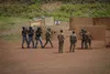 Exercice militaire gendarmerie ivoirienne et 8e RPIMa français