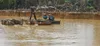 Orpaillage illégal Côte d'Ivoire