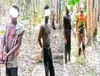 Individus arrêtés dans la forêt classée de Seguié