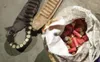 des munitions de calibre 12 saisies par la Gendarmerie