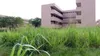 Le lycée scientifique de Yamoussoukro fait peau neuve
