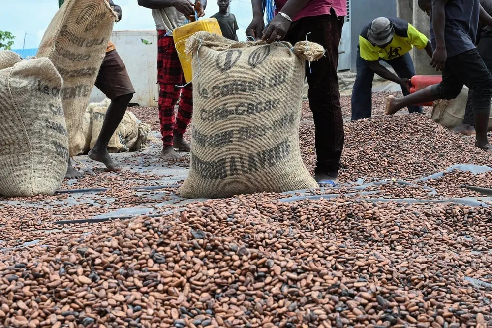 Cacao ivoirien : 100 agents formés à la traçabilité sociale