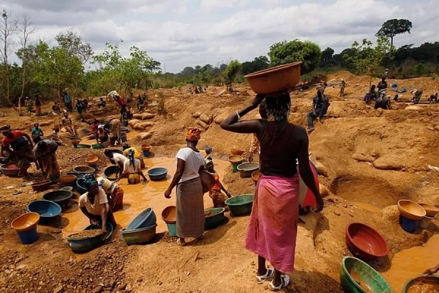 Orpaillage clandestin en Côte d'Ivoire : une tribune revient sur les alertes de Bédié