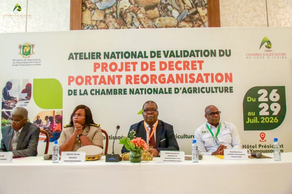Réorganisation Chambre nationale d'Agriculture : l'atelier de validation ouvert à Yamoussoukro