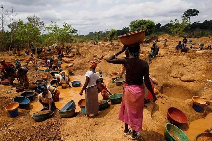 Orpaillage clandestin en Côte d'Ivoire : le PPA-CI dénonce une crise nationale