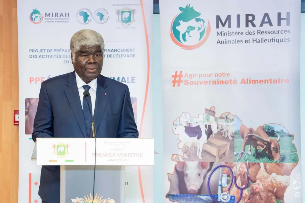 Élevage en Côte d'Ivoire : le gouvernement lance le projet PPF