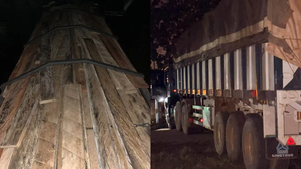Trafic de bois en Côte d'Ivoire : 30 tonnes de bois illégal saisies près de Soubré