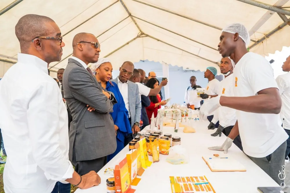 Emploi des jeunes en Côte d'Ivoire : 100 220 bénéficiaires visés par le PEJEDEC 3