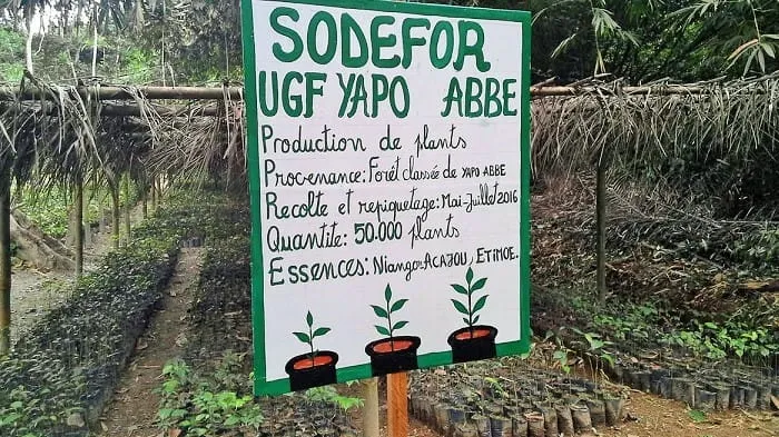 Forêt classée de Yapo Abbé