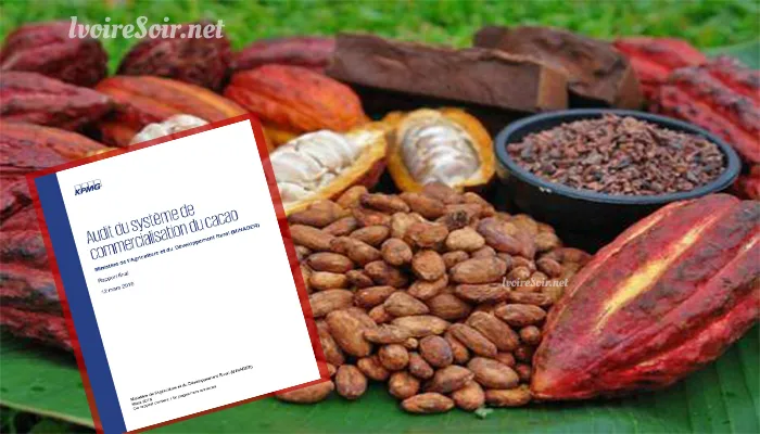 Audit de la filière café-cacao par le cabinet KPMG