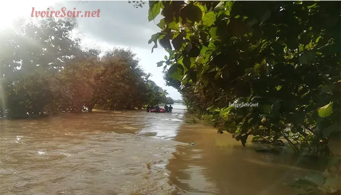 Urgent / Crue du Bandama à Zuénoula : « L’eau est en train d’encercler la ville »