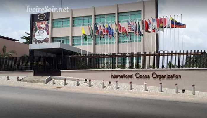 Organisation internationale du cacao : Ouattara retire la candidature de l’Ivoirien Jean-Marc Anga, au profit du Belge Michel Arrion