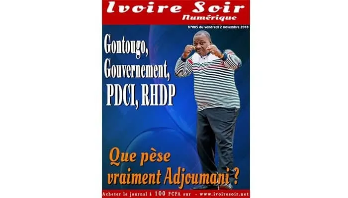 Gontougo, gouvernement, PDCI, RHDP : Que pèse vraiment Adjoumani ? (Acte 1)