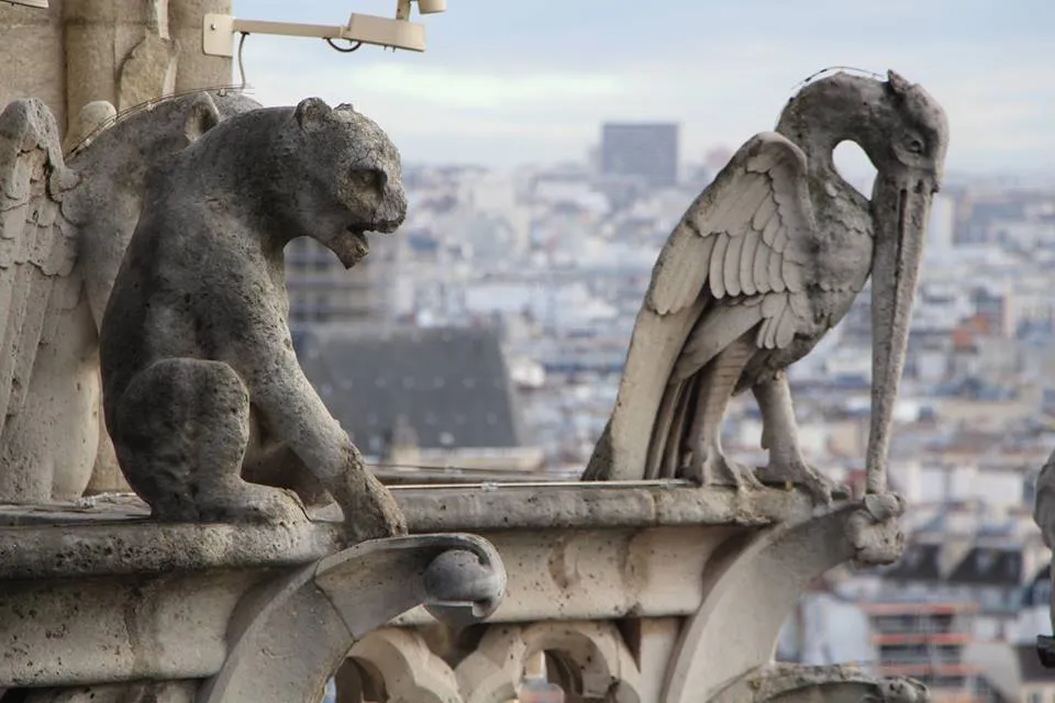 Notre-Dame de Paris: que font ces statues d’animaux sur une Eglise ?