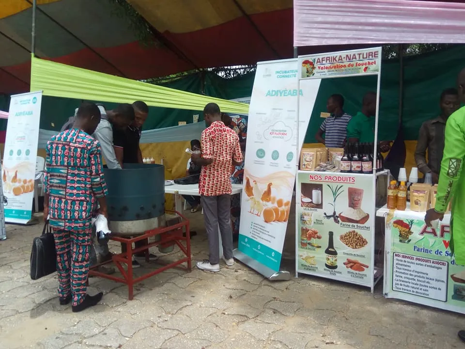 Tout sur la Semaine de l’Europe au Bénin du 2 au 10 mai 2019