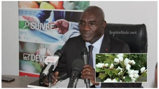 La Côte d’Ivoire 3e producteur africain de coton après le Mali et le Bénin