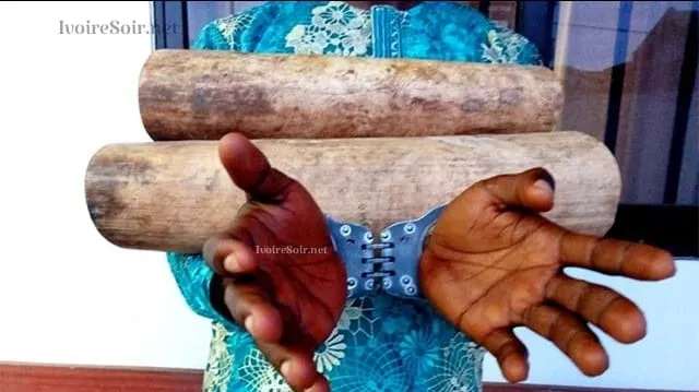 Gabon : Eugène Nziengui, le préfet de la Basse Banio en prison pour trafic d’ivoire