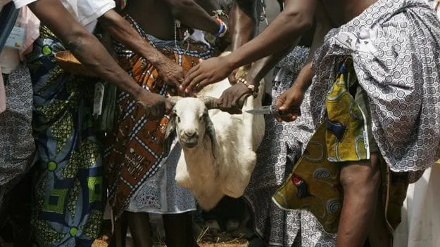 Niakara: le dozo se prend une balle en essayant son gris-gris anti-balles