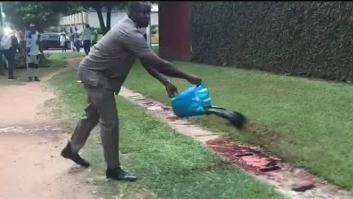 Des militants du RHDP versent du sang devant la maison de Bédié (Vidéo)