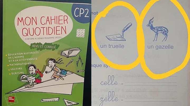 « Mon cahier quotidien CP1-CP2 »: Nei-Ceda est-elle la seule responsable des fautes ?