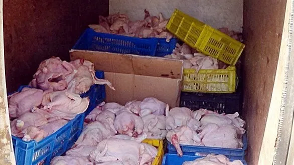 Côte d’Ivoire: Des centaines de poulets avariés saisis à Aboisso