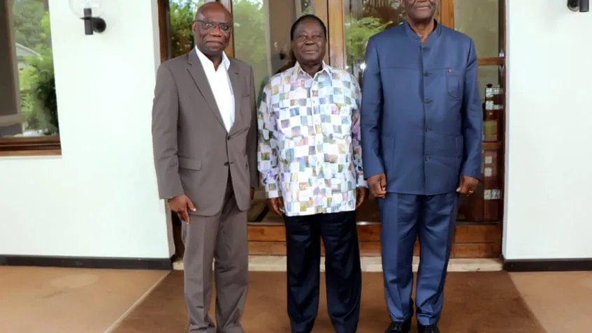Fondation Kofi Annan: Arnaud Akodjenou chez Bédié