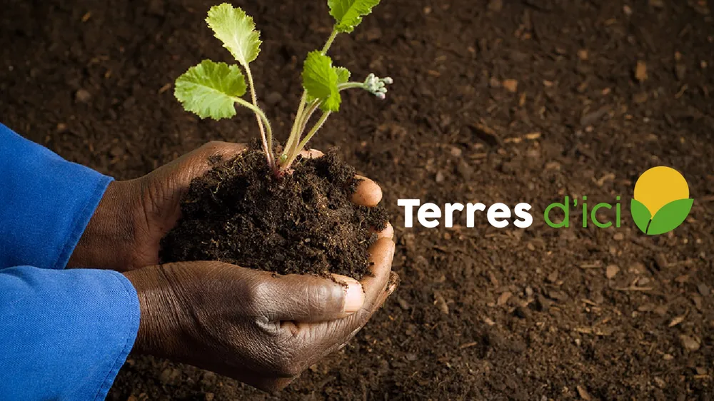 Terresdici.com lancé à la veille du SARA 2019