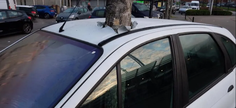 France: une voiture transpercée par un arbre à Nantes