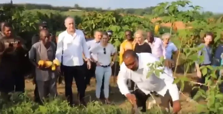 VIDÉO : Quand Adjoumani montre au ministre français de l’agriculture comment on travaille au champ