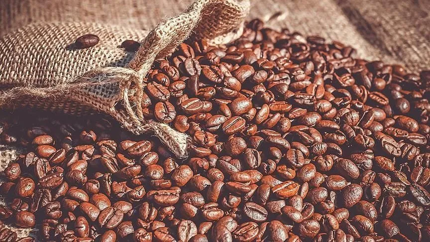 Côte d’Ivoire : le prix du Kg de café passe de 700 Fcfa à 750 FCFA pour la campagne 2022-2023