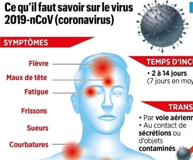 Coronavirus : voici ce qu’il faut savoir sur le virus 2019-nCoV