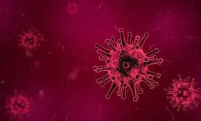 Coronavirus : les journalistes ivoiriens formés pour contribuer à la prévention du virus