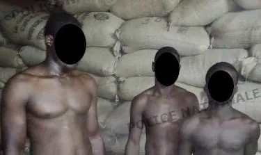 Bonon : fin de parcours pour 3 braqueurs de convoi de café-cacao