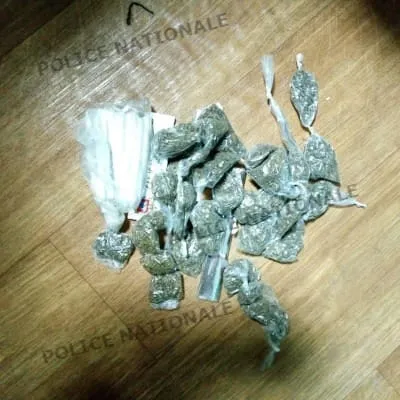 Maroc : près de 120 tonnes de résine de cannabis saisies entre mars et septembre 2020