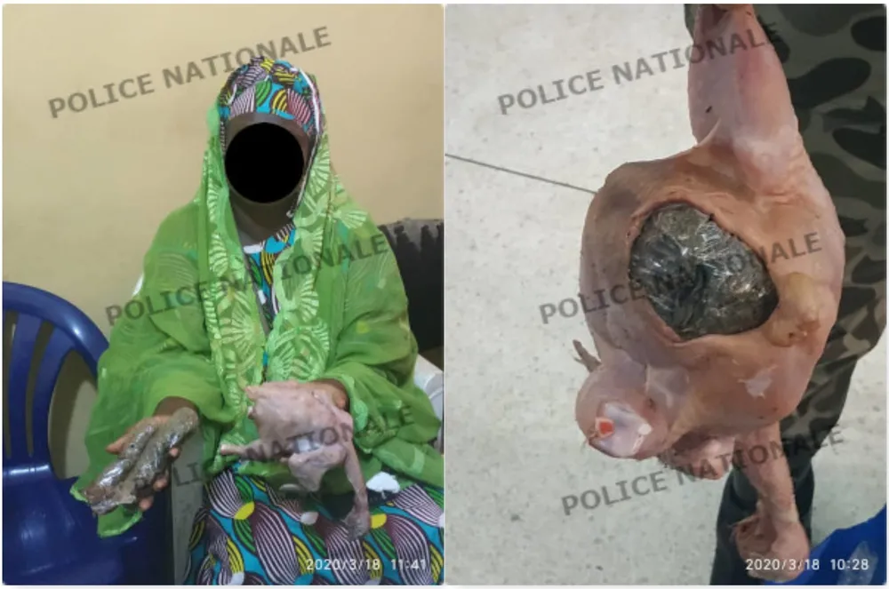 Yopougon : elle tente de faire rentrer de la drogue enfouie dans le derrière d’un poulet à la MACA