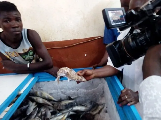 Tengrela : 5 tonnes de poissons avariés saisis