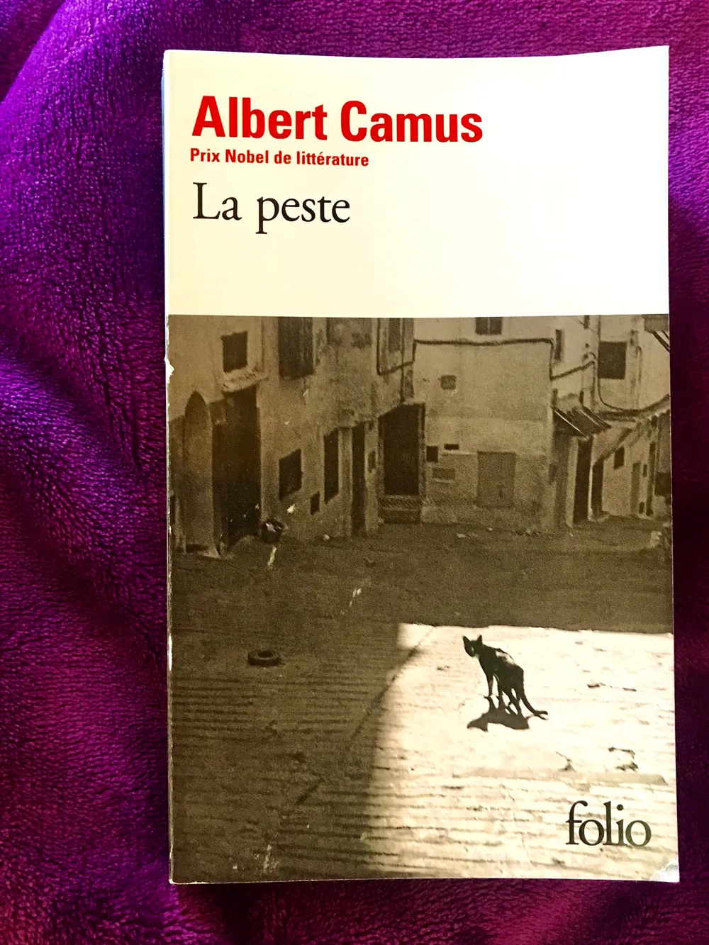 Chine : la Peste d’Albert Camus parmi les livres les plus lus
