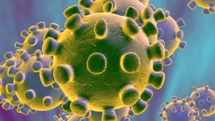 Covid-19 Inde : 182.143 cas d’infection et 5.164 décès