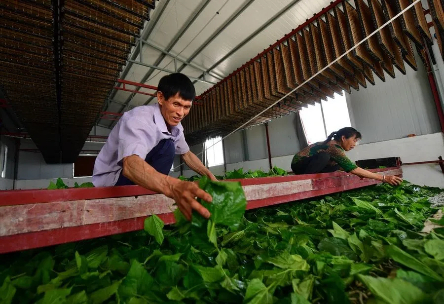 (Deux Sessions) La Chine assurera l’éradication de la pauvreté dans les zones rurales en 2020 – Actualités 22/05/2020