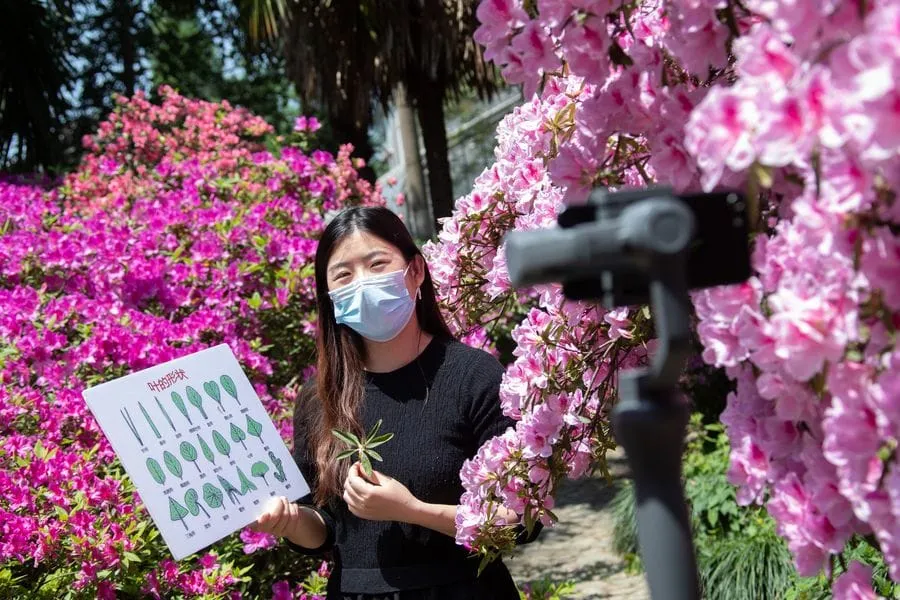 La Chine compte 731 millions d’utilisateurs de services d’actualités – Actualités 05/05/2020