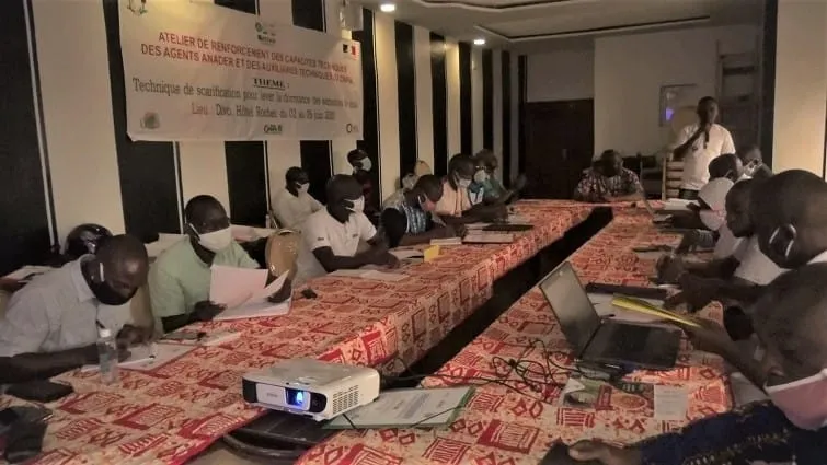 Le CNRA forme des partenaires techniques sur la méthode de germination rapide de la cola – Actualité ivoirienne 07/06/2020