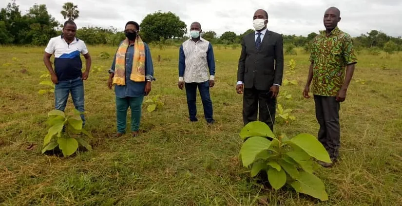 Reboisement dans le Bélier : les populations invitées au planting d’arbres