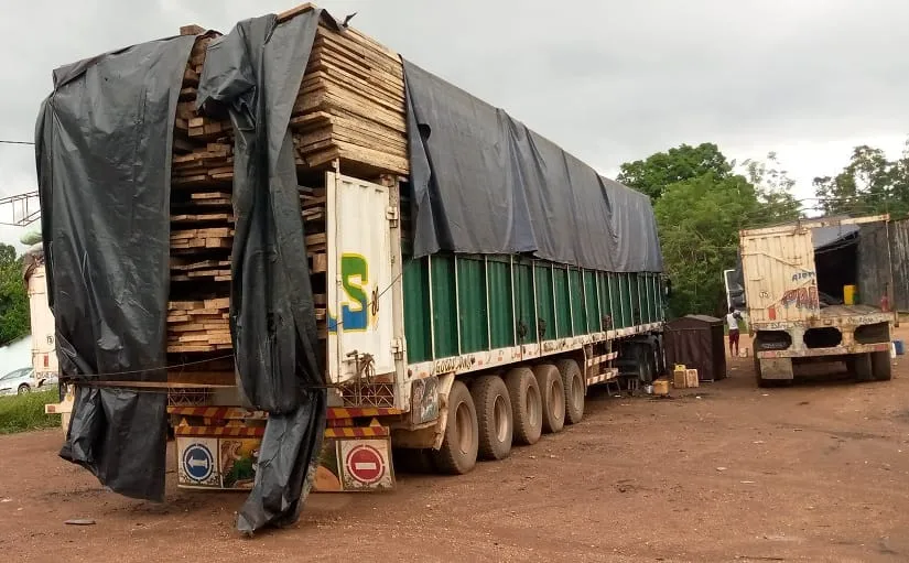 Côte d’Ivoire : un camion de bois saisi à M’Bahiakro