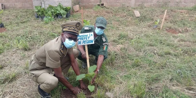 Journée nationale de planting d’arbres : La population de Bondoukou invitée à la préservation de la forêt – Actualité ivoirienne 25/07/2020