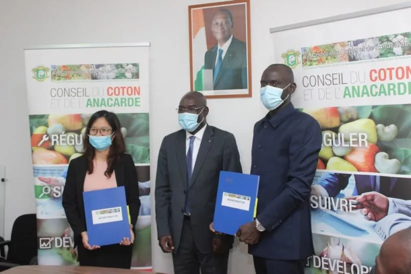 Une convention signée pour l’achat de 150.000 T de noix de cajou origine Côte d’Ivoire – Actualité ivoirienne 31/07/2020