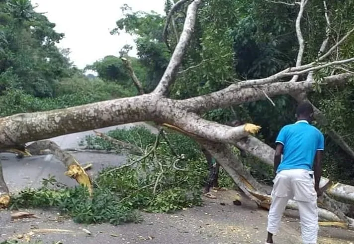 Manifestation de l’opposition : l’axe Abidjan-Adzopé barré par des manifestants